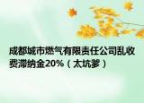 成都城市燃气有限责任公司乱收费滞纳金20%（太坑爹）
