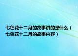 七色花十二月的故事讲的是什么（七色花十二月的故事内容）
