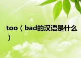 too（bad的汉语是什么）