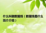 什么叫做数据线（数据线是什么简介介绍）