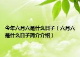 今年六月六是什么日子（六月六是什么日子简介介绍）