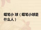 蜡笔小 球（蜡笔小球是什么人）