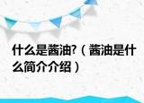 什么是酱油?（酱油是什么简介介绍）
