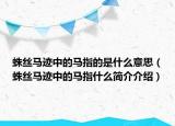 蛛丝马迹中的马指的是什么意思（蛛丝马迹中的马指什么简介介绍）