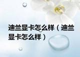 迪兰显卡怎么样（迪兰显卡怎么样）