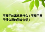 玉茄子的寓意是什么（玉茄子是干什么用的简介介绍）