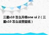 三星s10 怎么升级one ui 2（三星s10 怎么设置壁纸）