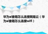 华为ai音箱怎么连接网易云（华为ai音箱怎么连接wifi）