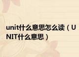 unit什么意思怎么读（UNIT什么意思）