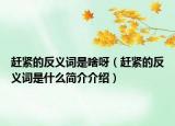 赶紧的反义词是啥呀（赶紧的反义词是什么简介介绍）
