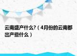 云南盛产什么?（4月份的云南都出产些什么）