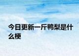 今日更新一斤鸭梨是什么梗