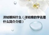 洋姑娘叫什么（洋姑娘的学名是什么简介介绍）