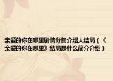 亲爱的你在哪里剧情分集介绍大结局（《亲爱的你在哪里》结局是什么简介介绍）