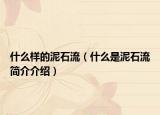 什么样的泥石流（什么是泥石流简介介绍）