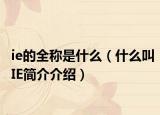 ie的全称是什么（什么叫IE简介介绍）