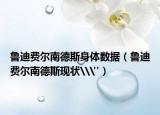 鲁迪费尔南德斯身体数据（鲁迪费尔南德斯现状\
