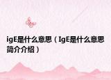 igE是什么意思（IgE是什么意思简介介绍）