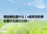 硬盘卷标是什么（u盘有效的卷标是什么简介介绍）