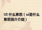 UI 什么意思（ui是什么意思简介介绍）