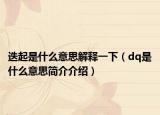 迭起是什么意思解释一下（dq是什么意思简介介绍）