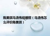 陈美琪马清伟结婚照（马清伟怎么评价陈美琪）