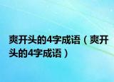 爽开头的4字成语（爽开头的4字成语）