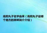 南煎丸子名字由来（南煎丸子是哪个地方的菜啊简介介绍）