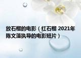 放石榴的电影（红石榴 2021年陈文藻执导的电影短片）