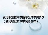 黄冈职业技术学院怎么样学费多少（黄冈职业技术学院怎么样）