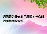 丹凤眼为什么叫丹凤眼（什么叫丹凤眼简介介绍）