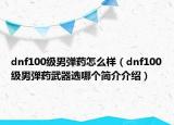 dnf100级男弹药怎么样（dnf100级男弹药武器选哪个简介介绍）