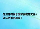 非法持有属于国家秘密的文件（非法持有毒品罪）