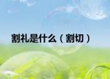 割礼是什么（割切）