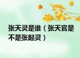 张天灵是谁（张天官是不是张起灵）