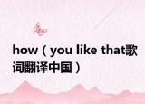 how（you like that歌词翻译中国）