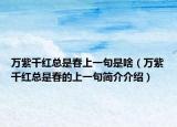 万紫千红总是春上一句是啥（万紫千红总是春的上一句简介介绍）