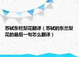 苏轼东栏梨花翻译（苏轼的东兰梨花的最后一句怎么翻译）