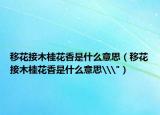 移花接木桂花香是什么意思（移花接木桂花香是什么意思\