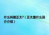 什么叫做正太?（正太是什么简介介绍）
