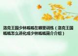 洛克王国少林呱呱在哪里训练（洛克王国呱呱怎么进化成少林呱呱简介介绍）