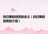 向日葵的微笑的含义（向日葵的微笑的介绍）