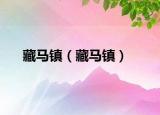 藏马镇（藏马镇）