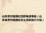 山东农村信用社贷款电话号码（山东省农村信用社怎么贷款简介介绍）