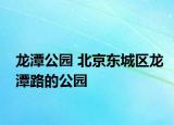 龙潭公园 北京东城区龙潭路的公园