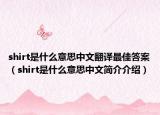 shirt是什么意思中文翻译最佳答案（shirt是什么意思中文简介介绍）