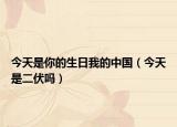 今天是你的生日我的中国（今天是二伏吗）