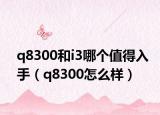 q8300和i3哪个值得入手（q8300怎么样）