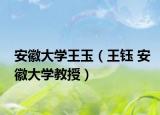 安徽大学王玉（王钰 安徽大学教授）