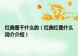 红曲是干什么的（红曲红是什么简介介绍）